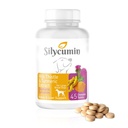 Bio PetActive Silycumin Milk Thistle & Turmeric Supplement for Dogs - Advanced Liver & Kidney Support with 80% Silymarin and Curcumin - Detox & Antioxidant Formula - 45 Chewable Tablets