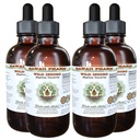 Hawaii Pharm Wild Indigo Alcohol-Free Liquid Extract, Wild Indigo (Baptisia Tinctoria) Dried Root Glycerite Natural Herbal Supplement, USA 4x4 fl.oz