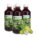 Frutos Pachamama Organic Noni Juice 100% Pure – Raw Ozonated Noni Extract from Dominican Republic | Natural Superfood Drink | Immune Booster & Anti-Inflammatory Support 4 Bottles, 16Oz
