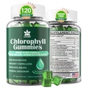 Chlorophyll Gummies - Super Green with Wheat Grass, Sea Moss, Unfiltered ACV & Elderberry, Echinacea, Zinc Complex & Vitamin D3, C, E, B12 for Natural Deodorant, Immune & Digestion Support, Pack of 2