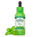 Nature's Truth Liquid Chlorophyll Drops | 50 mg Chlorophyll | 2 fl oz | Natural Mint Flavor | Vegan, Non-GMO & Gluten Free Supplement