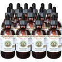 Hawaii Pharm Stinging Nettle Alcohol-Free Liquid Extract, Professional Grade, Small Batch Crafted Stinging Nettle (Urtica Dioica) Dried Leaf Glycerite Natural Herbal Supplement, 15x4 fl.oz