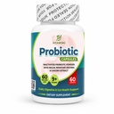 Probiotic Capsules for Women and Men, 60 Billion CFU Lactobacillus Supplement with 9+ Strains and Prebiotic Inulin and Chicory Extract, Gut and Immune Support for Women and Men, 60 Count