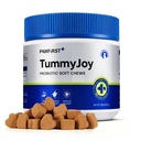 Probiotics Supplement Chews for Dogs, Support Digestive Gut Health | Prebiotics & Enzymes for Diarrhea and Upset Stomach Relief, Chicken Flavor 100ct