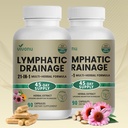 VivoNu 21-in-1 Liposome Lymphatic Drainage Supplements Capsules, 2 Bottle | Immune & Lymph System Support Supplement for Women & Men, Echinacea, Dandelion, Burdock, Bromelain, Calendula & More