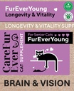Supplement Treats for Senior Cats ~ Cognitive Support | Premium Feline Longevity Stack | Lion's Mane Mushroom + Taurine Complex | Brain & Vision Formula from Wellness Science | Lamb Flavor