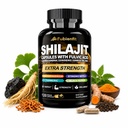 Shilajit Capsules with Fulvic Acid | 8-in-1 Botanical Blend, 120 Veggie Capsules