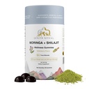 Shilajit and Moringa Gummies Elderberry Flavor – Boost Energy, Focus & Vitality – 75% Fulvic Acid – 100% Vegan, Gluten-Free, No Added Sugar – 60 Gummies