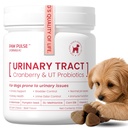 Pawpulse Formula Dog UTI Treatment, Cranberry Supplement for Dogs with Cranberry Extract, D-Mannose & Probiotics, Cranberry for Dogs, Urinary Tract & Bladder Support, 90 Soft Chews