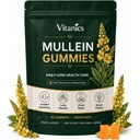 Vitanics Mullein Gummies, Mullein Leaf Extract For Lungs, Mucus Relief | Organic Mullein Herb Supplement with Quercetin Bromelain, Respiratory & Digestive Support, Immune Support, 90 Gummies