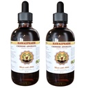 Hawaii Pharm Dong Quai Liquid Extract, Chinese Angelica (Angelica sinensis) Dried Root Tincture Supplement 2x2 oz
