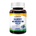 LOVITA Bilberry Extract, 100:1, 25% Anthocyanins, 60 Capsules | Daily Vision Wellness, Antioxidant Support, Standardized Extract, Non-GMO, Gluten Free