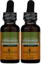Herb Pharm Hydrangea Liquid Extract for Urinary System Support, 1 Fl Oz (Pack of 2)
