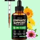 Venture Pal 16-in-1 Lymphatic Drainage Drops - 120 Servings - Echinacea, Dandelion, Burdock, Cleavers & Vitamins, Alcohol-Free
