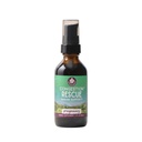 WishGarden Herbs Congestion Rescue for Pregnancy, Immune Tincture, 2oz | Echinacea, Elderberry, Mullein & Marshmallow Root, Safe for Pregnancy & Nursing, Vegan, Gluten-Free