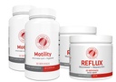 Silver Fern Brand Slow Motility+Kit Digestive Support Bundle 30-Day Supply | 2 Motility, 2 Berry Flavor Powder Reflux – Capsules, Powder – Artichoke Leaf, Okra, Ashwagandha, MucoSave – Made in USA