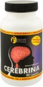 Sunshine Naturals Cerebrina με Ginkgo Biloba & L-Glutamic Memory & Focus συμπλήρωμα υποστήριξης – 90 κάψουλες – Brain Health Formula for Adults