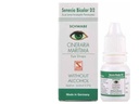 Dr. Willmar Schwabe Germany Cineraria Maritima (D2) Eye drops without alcohol 10ml (Pack of 2)