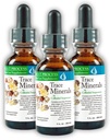Morter Trace Minerals in Colloidal Ανάρτηση (3 Pack) Morter HealthSystem Best Process Alkaline — Nutrient Dense Trace Elements, Fulvic Minerals & Amino Acids