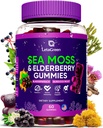 Ιρλανδέζικης θάλασσας Moss Gummies – Bladderwrack Burdock Root Elderberry Vitamin C & Zinc – 60 Vegan Seamoss Gummy Bears για Ενήλικες Παιδιά Άνδρες Γυναίκες – Multimineral Elderberry Vitamins