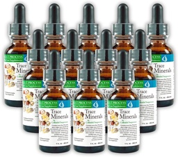 Morter Trace Minerals in Colloyal Ανάρτηση (12 Pack) Morter HealthSystem Best Process Alkaline — Θρεπτικά στοιχεία, Fulvic Minerals & Amino Acids
