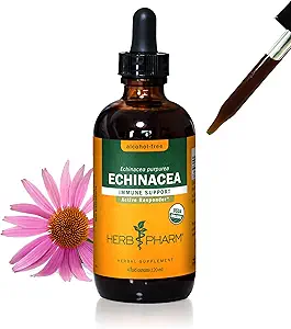 Βότανο Pharm Certified Organic Echinacea Root Liquid Extract για την υποστήριξη του ανοσοποιητικού συστήματος, Glycerite χωρίς αλκοόλ, 4 ουγγιά
