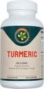 Carnivora Turmeric – Υποστήριξη των αρθρώσεων και Digestive Health (90 κάψουλες Vegan)