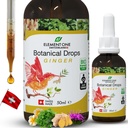 Φυσικές Βοτανικές σταγόνες – Ginger και Digestive Ένζυμα σε μια οργανική φόρμουλα για την ολοκληρωμένη ευεξία, το ανοσοποιητικό σύστημα υποστήριξης, την προώθηση της ανακούφισης από φλεγμονή, και την ενίσχυση της κυκλοφορίας του αίματος (50ml)