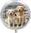 Round Pill περίπτωση 3 διαμέρισμα Golden Retriever σκυλιά κουτάβια κατοικίδια κουτί χάπια Mini Medicine Pill Organizer Portable Travel Pillbox για Pocket Purse Metal Pill εμπορευματοκιβώτιο για Βιταμίνες Fish Oil συμπληρώματα