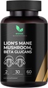 Mishas Lions Mane Supplement - Organic Lions Mane - Υποστήριξη για την υγεία του εγκεφάλου - Mushroom Support for Focus & Memory, ανοσοποιητικό & νευρικό σύστημα λειτουργίας Γυναίκες & άνδρες - 60 κάψουλες Vegan