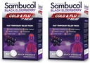 Sambucol Cold and Flu Relief Tablets - Homeopathic Cold Medicine, Nasal & Sinus Congestion Relief, Use for Runny Nose, Coughing, Cold Remedy for Adults - Black Elderberry, 30 Count, 2-Pack