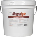 MagnaLyte Loose Salt and Electrolytes for Horses by Eagle Equine | Mineral sea Salt, Trace Minerals, Electrolytes | 20 Pound Bucket