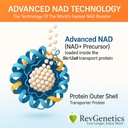 REVGENETICS Σύνθετη NAD+ συμπλήρωμα, 60 κάψουλες - Συμπλήρωμα διατροφής για υγιή γήρανση & μακροζωία