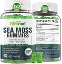 Sea Moss Gummies Sugar-Free, Extra Strength Irish Moss Gel συμπλήρωμα με Ιώδιο, Chlorophyl, Unfiltered ACV, D3, Burdock Root, Bladderwrack για το ανοσοποιητικό, Digestive, Δέρμα, Μαλλιά, Det❤️x, Vegan, 2Pack
