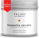 Boswellia Serrata Extract Supplement 500mg - Υγιής Κοινή Υποστήριξη, Υποστήριξη για την ανακούφιση των μυών - 65% Boswellic Acids - Εξάγεται από την ινδική Olibanum/Frankincense, 120 Caps
