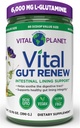 Vital Planet - Vital Gut Renew Powder Supplement for Leaky Gut Repair with L-Glutamine, Marshmallow and Ginger Root, DGL Licorice Root and Organic Aloe Vera, L Glutamine 6000mg 13,76 oz