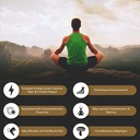 Shilajit Καθαρή βιολογική ρητίνη Ιμαλαΐων Gel — Ενέργεια Boost, Digestive Υγεία & Ανοσολογική Υποστήριξη — Ίχνη Ορυκτά Φυσικό Μαύρο Shilajit για άνδρες και γυναίκες — Πλούσιο σε Fulvic Οξύ, σίδηρο, μαγνήσιο (60 γραμμάρια)