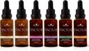 Organic Tinctures Beginner σετ 30 mL Κάθε ένα από τα οργανικά Ashwagandha, Asian Ginseng, Echinacea Blend, Elderberry, Lemon Balm & Turmeric