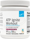 XYMOGEN ATP Ignite Processing Powder - Υποστηρίζει την απόδοση, ανάκτηση, ενέργεια + αντικατάσταση ηλεκτρολυτών με Aminos, βιταμίνες, ηλεκτρολύτες + 95mg καφεΐνη - μικτή Berry Preworkout ποτό Mix (13,7 oz)