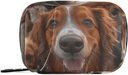 Εβδομαδιαία Pill Organizer Group Dogs Golden Retriever Small Pill Box Portable Travel Pill Case 7 Ημέρες κάτοχος συμπλήρωμα βιταμίνης με Zipper για οικογενειακή επιχείρηση Camping