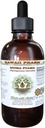 Muira Puama Free Alcohol Liquid Extract, Organic Muira Puama (Ptychopetalum Olacoides) Συμπλήρωμα φυσικού βοτάνου γλυκερίτη, Hawaii Pharm, ΗΠΑ 4 oz