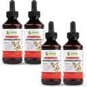 Maxx Herb Ashwagandha Extract – Max Strength Liquid Tibcture Absorbs Better than Capsules or Powder - για Stamina, Memory, and Immune Support – 4 Bottles, 4 Oz Κάθε (240 Servings)