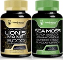 WELNESS LABSRX Irish Sea Capses - Lions Mane συμπλήρωμα κάψουλες 15.000mg