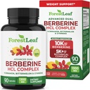 ForestLeaf Berberine Supplement - GLP-1 Inspired Formula - 1300mg per Serving - Ultra High Potency Berberine HCl with Ceylon Cinnamon, Bitter Melon & Gymnema - Υποστήριξη διαχείρισης βάρους - 90 Caps