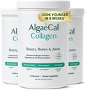 ALGAECAL Collagen - 4 Clinical-Supported Peptides VERISOL®, FORTIGEL®, UC-II®, FORTIBONE®, Αντιγηραντική σκόνη υδρολυμένου κολλαγόνου, 3 συσκευασίες, Made in USA