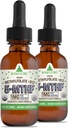 RawGuru Methylfolate 1mg+ Βιταμίνη B12 - Βιολογικό Vegan methylated B12 with Trace Minerals - Nano-Processed & Enhanced Liquid Formula - 300 Μερίδες Vegan Drops ανά 30 ml, Συσκευασία των 2