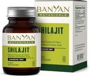 Banyan Βοτανικά Shilajit – Βιώσιμα και Βιώσιμα Ορυκτά Pitch – Ορυκτά-Rich Shilajit συμπλήρωμα για τη φυσική αποτοξίνωση και την υγιή γήρανση* – 90 δισκία – Μη ΓΤΟ Βιώσιμα που προέρχονται Vegan