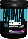 Animal Omega 3 & 6 συμπλήρωμα με ιχθυέλαιο & λινέλαιο συν χυμένα αμινοξέα BCAA/EAA Matrix για την ανάκτηση - 30 εξυπηρετεί το καθένα